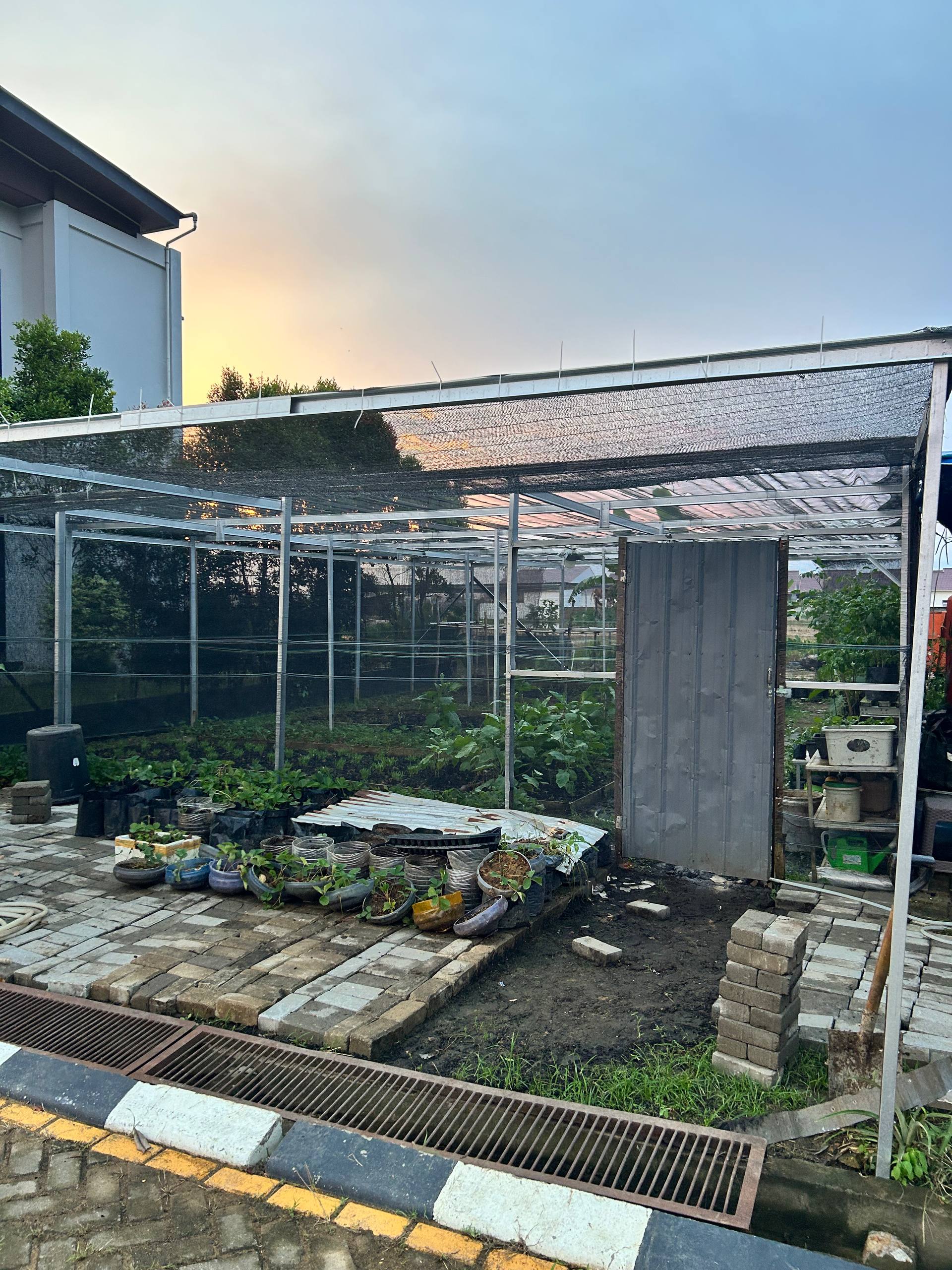 Yahya Edu Farm